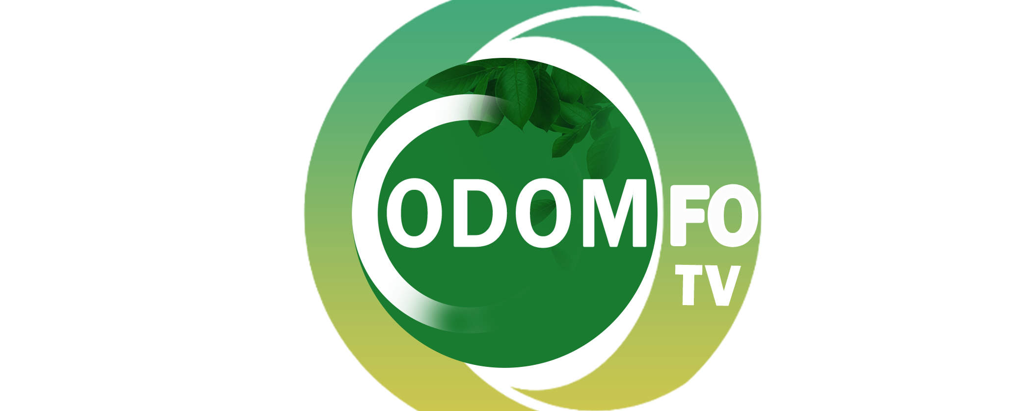 odomfotv.com